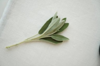 Скандинавия в Москве: ресторан Sage на Тверской-Ямской с авторской кухней